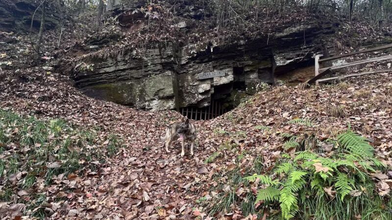 Riley’s Roost - Birmingham, AL