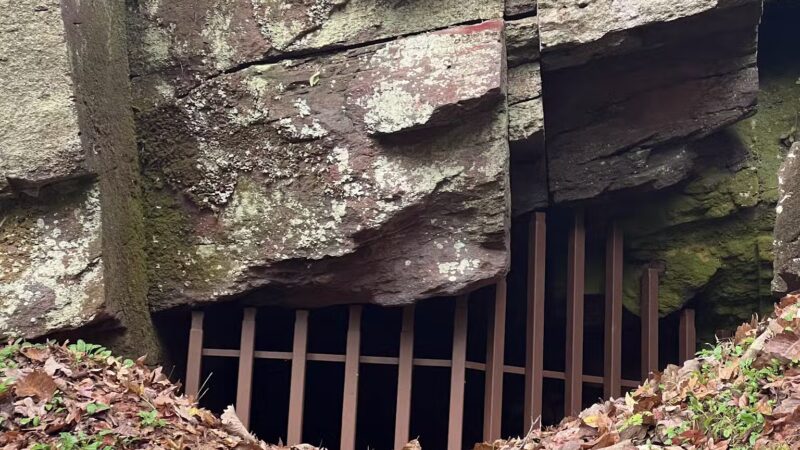 Riley’s Roost - Birmingham, AL