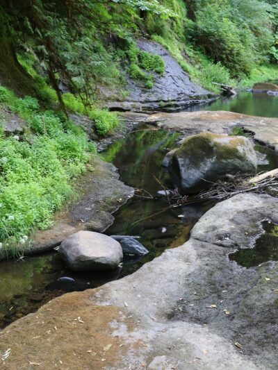 Lake Creek Falls - Blachly, OR