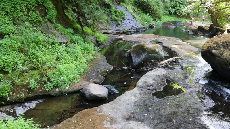 Lake Creek Falls - Blachly, OR