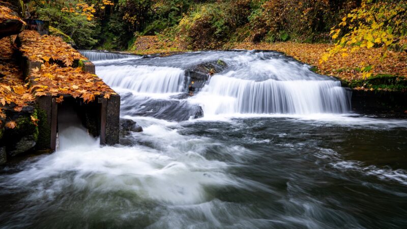 Lake Creek Falls - Blachly, OR
