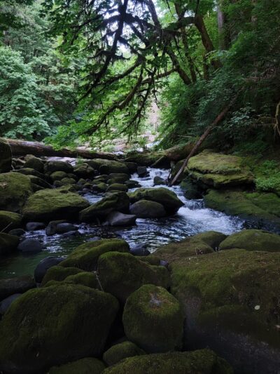 Lake Creek Falls - Blachly, OR