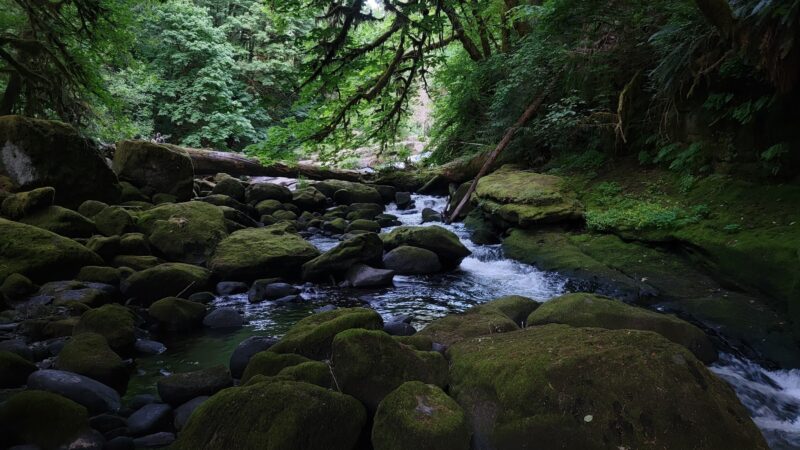 Lake Creek Falls - Blachly, OR