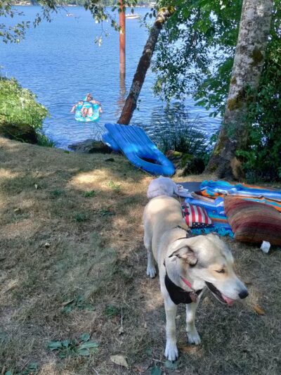 Triangle Lake Park - Blachly, OR