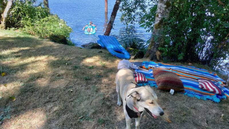 Triangle Lake Park - Blachly, OR