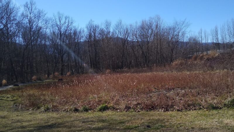 River Walk Dog Park - Black Mountain, NC