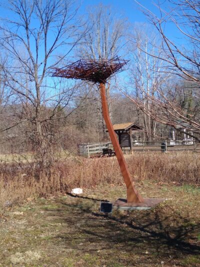 River Walk Dog Park - Black Mountain, NC