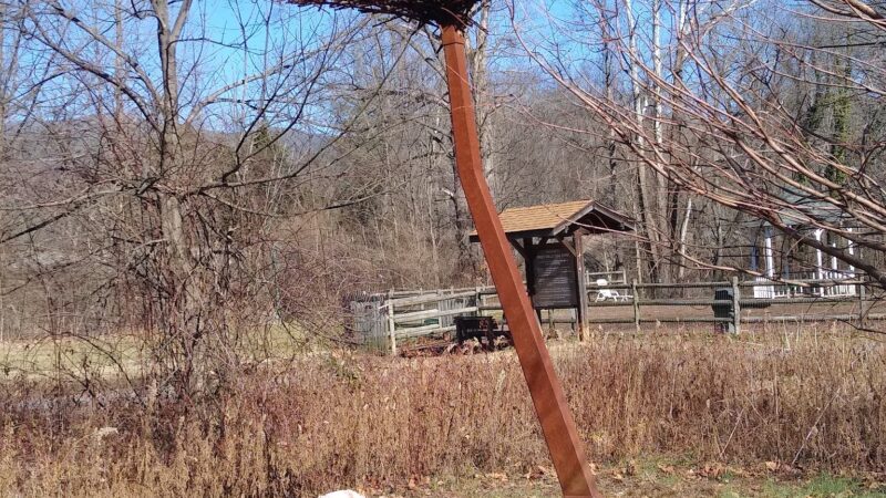 River Walk Dog Park - Black Mountain, NC