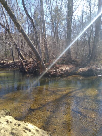 River Walk Dog Park - Black Mountain, NC