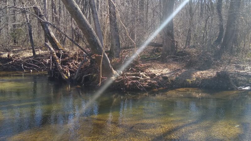 River Walk Dog Park - Black Mountain, NC
