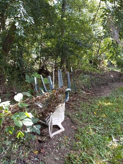 River Walk Dog Park - Black Mountain, NC