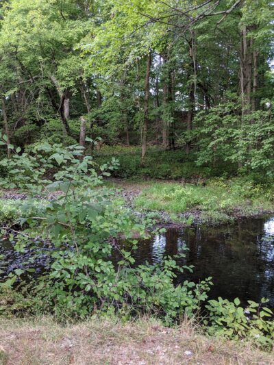 Attilio Valati Nature Park - Blackstone, MA