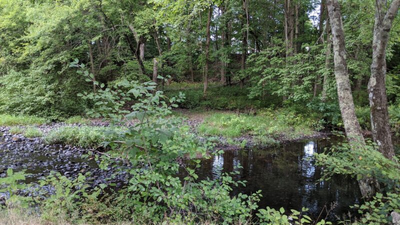 Attilio Valati Nature Park - Blackstone, MA