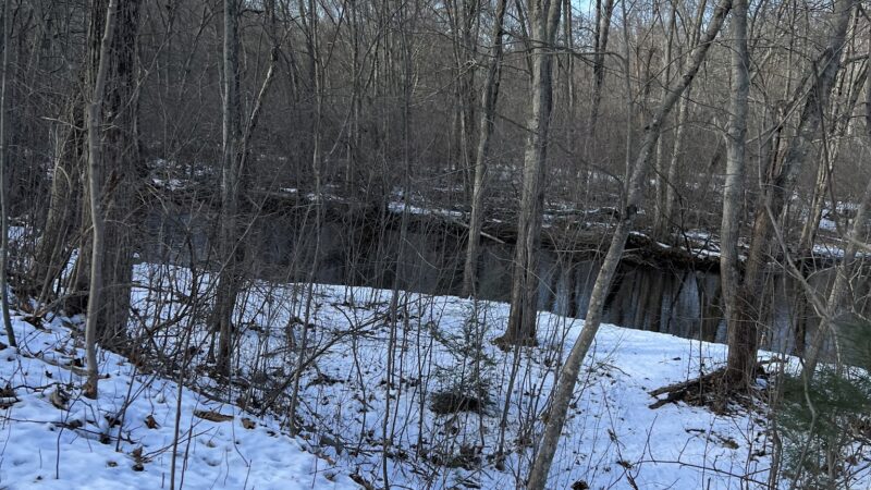 Attilio Valati Nature Park - Blackstone, MA