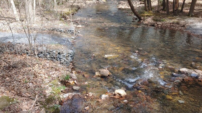 Fowlers Hollow State Park - Blain, PA