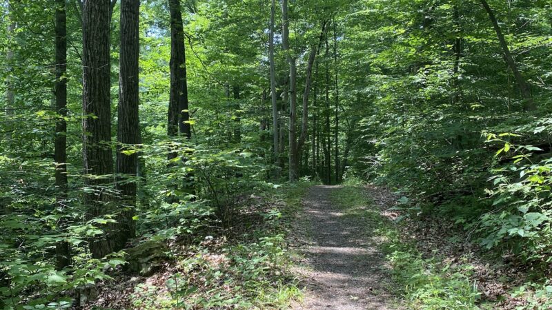 Fowlers Hollow State Park - Blain, PA