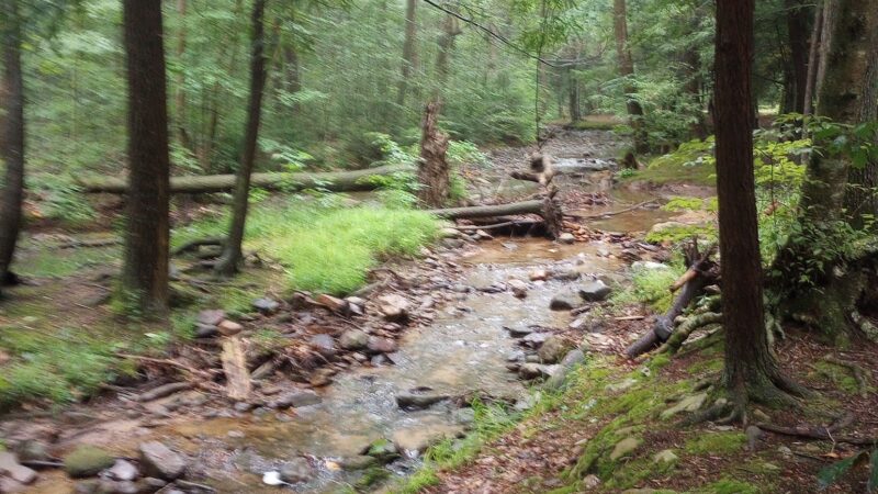 Fowlers Hollow State Park - Blain, PA