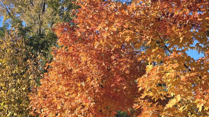 Joseph B. Clarke Trail Head - Blauvelt, NY