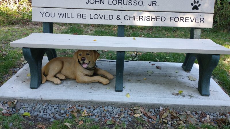 Joseph B. Clarke Trail Head - Blauvelt, NY