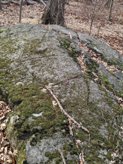 Tackamack North Park - Blauvelt, NY