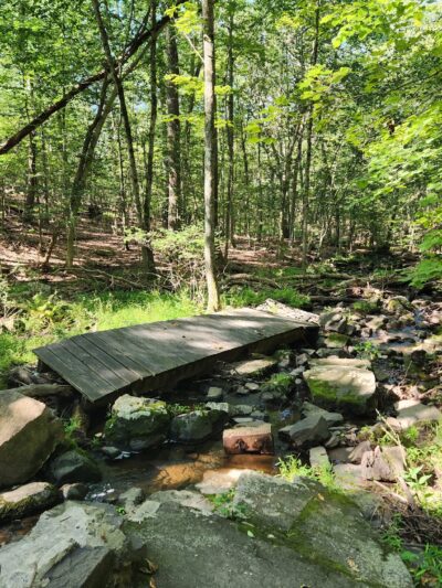 Tackamack North Park - Blauvelt, NY