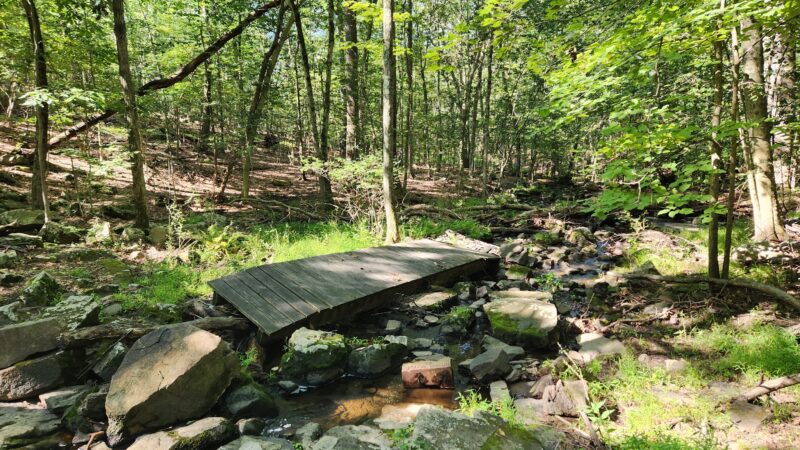 Tackamack North Park - Blauvelt, NY