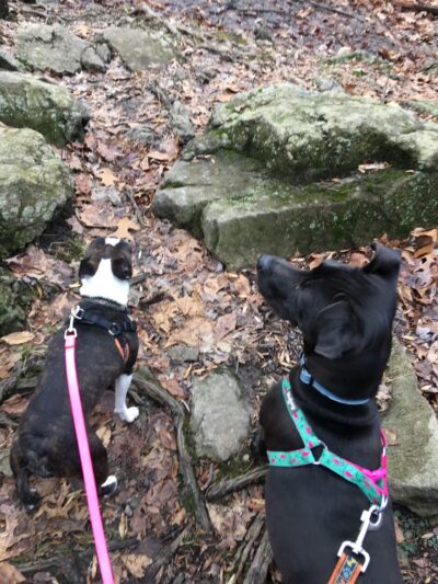 Tackamack North Park - Blauvelt, NY