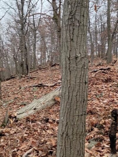 Blauvelt State Park - Blauvelt, NY