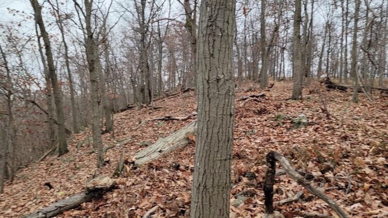 Blauvelt State Park - Blauvelt, NY
