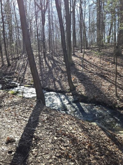 Blauvelt State Park - Blauvelt, NY