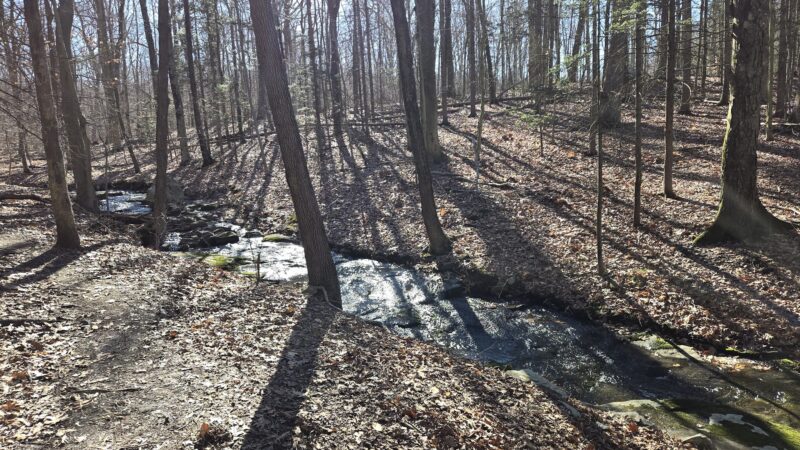 Blauvelt State Park - Blauvelt, NY