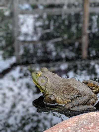 R & R Bar & Campground - Bloomer, WI