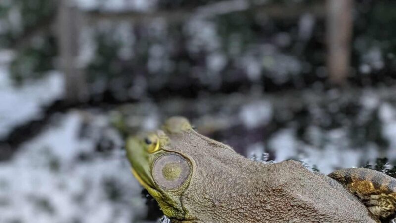 R & R Bar & Campground - Bloomer, WI