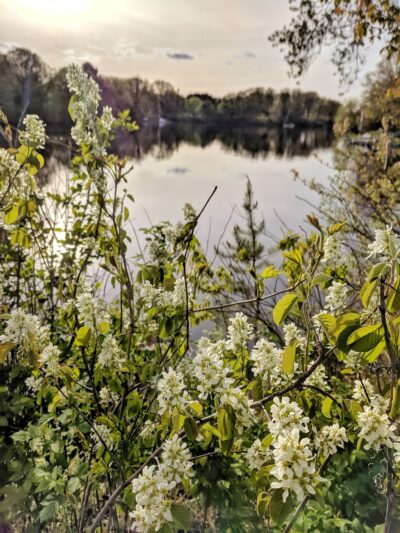 Schwab Park - Bloomer, WI