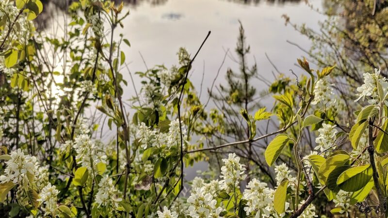 Schwab Park - Bloomer, WI