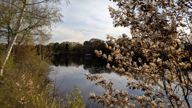Schwab Park - Bloomer, WI