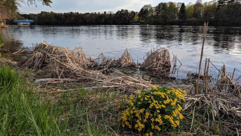 Schwab Park - Bloomer, WI