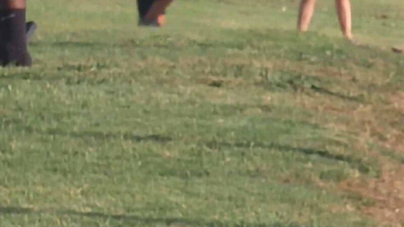 Blooming Grove Lions Baseball Fields - Blooming Grove, TX