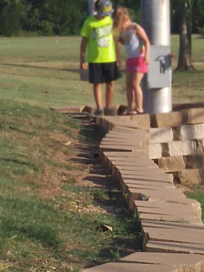 Blooming Grove Lions Baseball Fields - Blooming Grove, TX