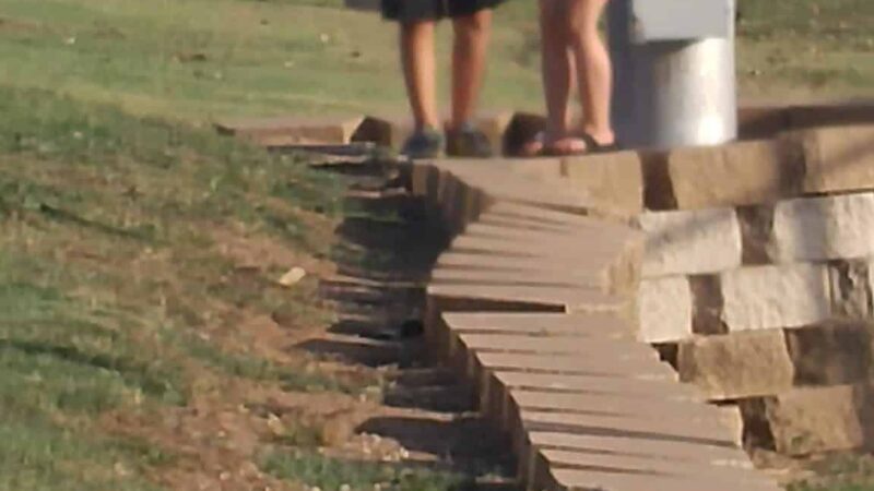 Blooming Grove Lions Baseball Fields - Blooming Grove, TX