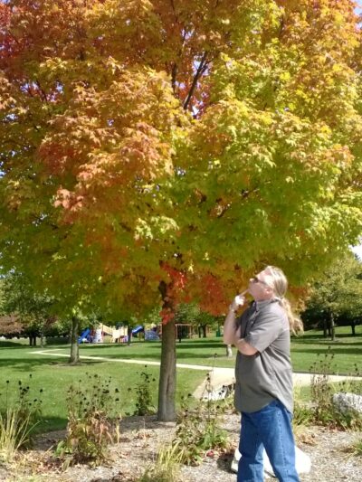 Brookridge Park - Bloomington, IL