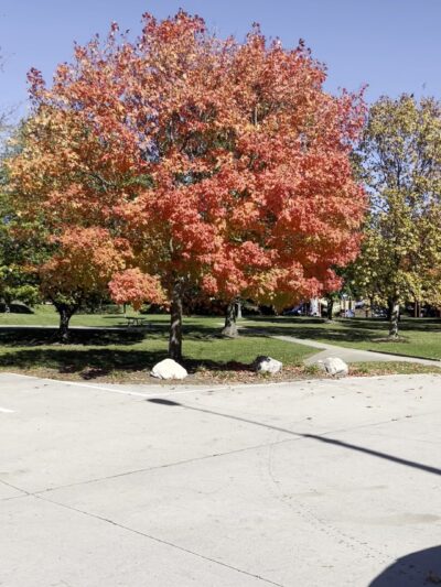 Brookridge Park - Bloomington, IL