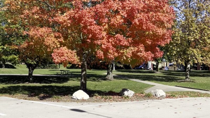 Brookridge Park - Bloomington, IL