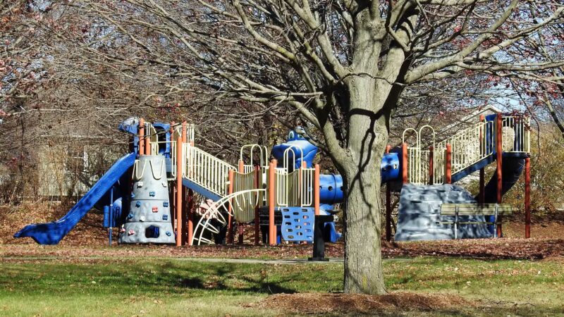 Brookridge Park - Bloomington, IL