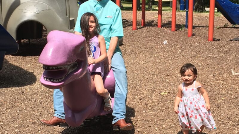 Forrest Park - Bloomington, IL