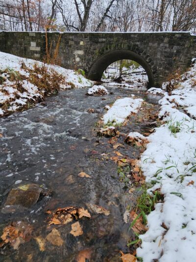 Forrest Park - Bloomington, IL