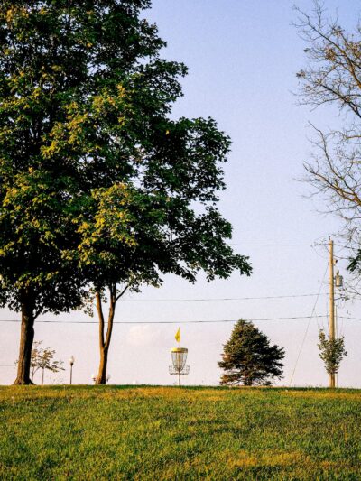 Forrest Park - Bloomington, IL