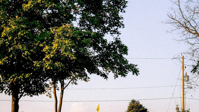 Forrest Park - Bloomington, IL