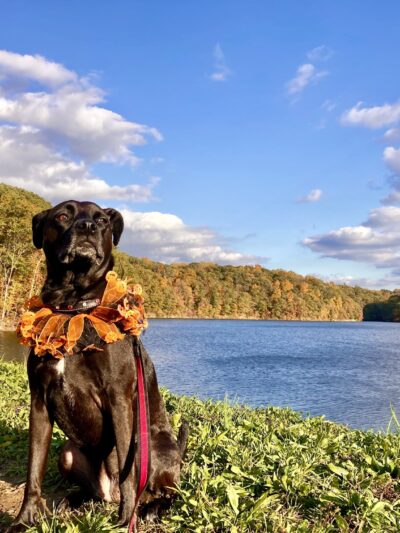 Griffy Lake Dam - Bloomington, IN