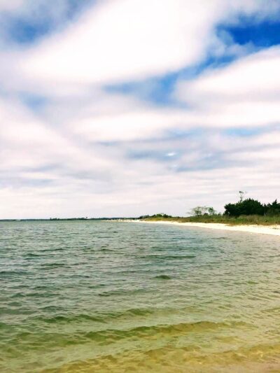 Saxis Wildlife Management Area - Bloxom, VA